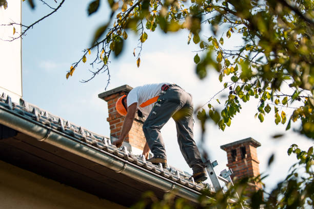 Best Roof Leak Repair  in Lyons, WI